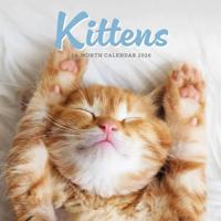 Kittens Mini Kalender 2026