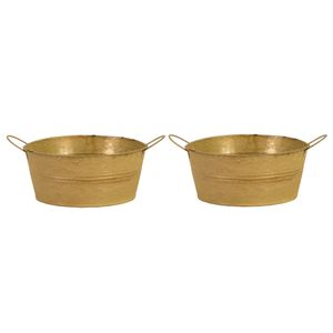 Teil/emmer/plantenpot - 2x - zink - oud goud - D22 x H10 cm