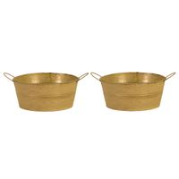 Teil/emmer/plantenpot - 2x - zink - oud goud - D22 x H10 cm