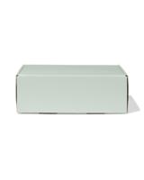 HEMA Verzenddozen 24x17x8cm karton lichtgroen - 3 stuks