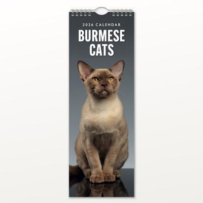Burmees Slimline Kalender 2026