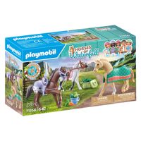 Playmobil Horses of Waterfall 3 Paarden met Accessoires 71356