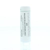 Homeoden Heel Crataegus oxyacantha 30K 6 Gram