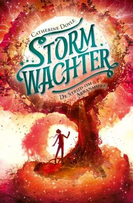 De strijd om Arranmore (Hardback)