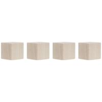 Magnetoplan Magneet Cube (l x b x h) 20 x 20 x 20 mm Berk 4 stuk(s) 1665349