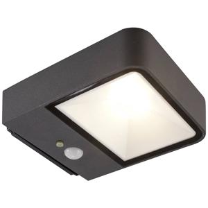 Megatron Wandia MT70019 Wandspot op zonne-energie met bewegingsmelder 2 W LED Zwart