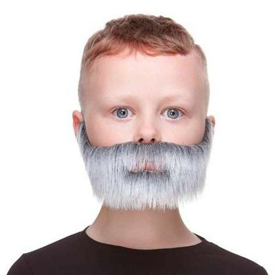 Valse baard My Other Me Grijs
