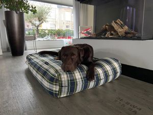 Dog's Companion® Hondenbed dress gordon