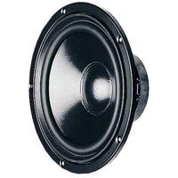 Visaton W 170 S - 4 Ohm 6.7 inch 17 cm Woofer 50 W 4 Ω Visaton W 170 S - 4 Ohm 6.7 inch 17 cm Woofer 50 W 4 Ω