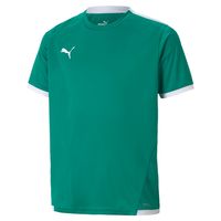 PUMA teamLIGA Voetbalshirt Kids Groen Wit