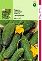 Augurken National Kleine Groene - Hortitops