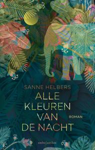 Alle kleuren van de nacht - Sanne Helbers - ebook