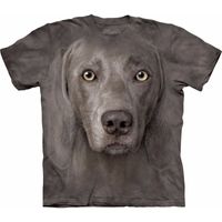 Honden dieren T-shirt Weimaraner voor volwassenen - thumbnail