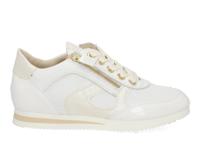 DL Sport 6994 vers 06 bianco Wit maat 41