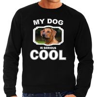 Honden liefhebber trui / sweater Rhodesische pronkrug  my dog is serious cool zwart voor heren - thumbnail