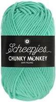 Scheepjes Chunky Monkey 1422 Aqua