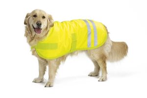 Beeztees 766133 veiligheidshesje voor honden Nylon Groen