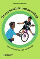 Onverwachte ontmoeting (Paperback)