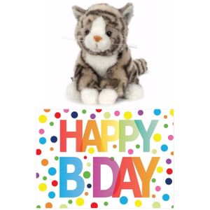 Cadeau setje pluche grijze kat/poes knuffel 16 cm met Happy Birthday wenskaart