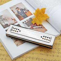 Zwaan SW24-12A 24-holes dubbelzijdige mondharmonica Beginner polyfonie vak volwassen kinderen Beginners prestaties