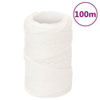 VidaXL Boottouw 2 mm 100 m polypropyleen volwit
