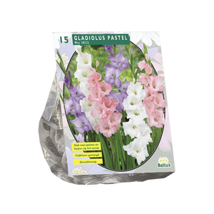 Zomer Bloembollen Gladiolus Pastel Mix per 15 - Baltus