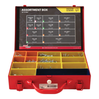 Dynaplus Assortimentskoffer Indoor Verzinkt Tx | 1600-delig - 0289.01.00410 Dynaplus Assortimentskoffer Indoor Verzinkt Tx | 1600-delig - 0289.01.00410