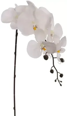 Pure Royal kunsttak orchidee 87cm crème