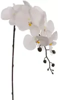 Pure Royal kunsttak orchidee 87cm crème