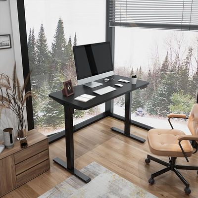 Flexispot EF1 zit sta bureau, in de hoogte verstelbaar bureau EF1B, zwart