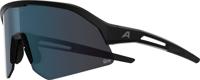 Alpina sonic hr m q-lite - sports glasses