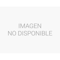 UPS SAI Salicru 647CA000009 850 W 480 W