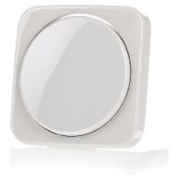 2115-212  - Cover plate for dimmer cream white 2115-212 - thumbnail