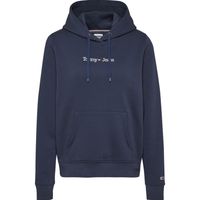 Reg Serif Linear Hoodie