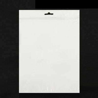 100 Stuks 10.5 inch Anti-statisch Ziplock zakje Afmetingen: 27 x 18 cm