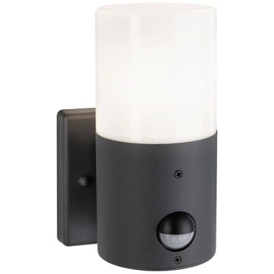 Paulmann Outd 230V Wandl Tubs PIR grau 94648 Buitenlamp met bewegingsmelder (wand) E27