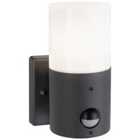Paulmann Outd 230V Wandl Tubs PIR grau 94648 Buitenlamp met bewegingsmelder (wand) E27