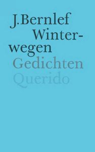 Winterwegen - J. Bernlef - ebook
