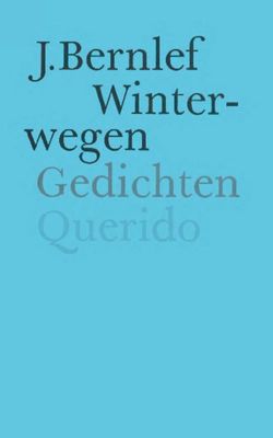 Winterwegen - J. Bernlef - ebook