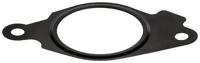 Afdichting, EGR-klep 689330