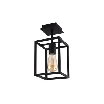 Lyora Landelijke plafondlampCrate - 9045