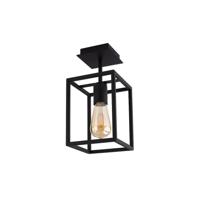 Lyora Landelijke plafondlampCrate - 9045