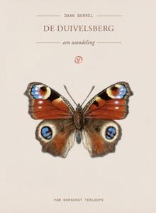 De Duivelsberg (Paperback)