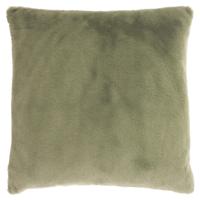 Klaas winter green 45