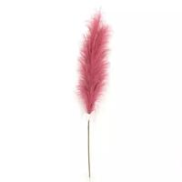 Pampas Gras 60 cm Donker rood kunstplant - Buitengewoon de boet