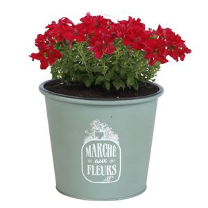 Plantenpot/bloempot voor buiten - zink - jadegroen - D19 x H16 cm