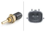Temperatuursensor 6PT009107531