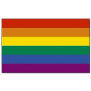 Regenboog vlag 90 x 150 cm