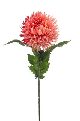 Mum spider spray coral 57 cm - Emerald