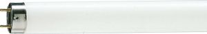 Philips TL 36 Watt kleur 830 120cm super master